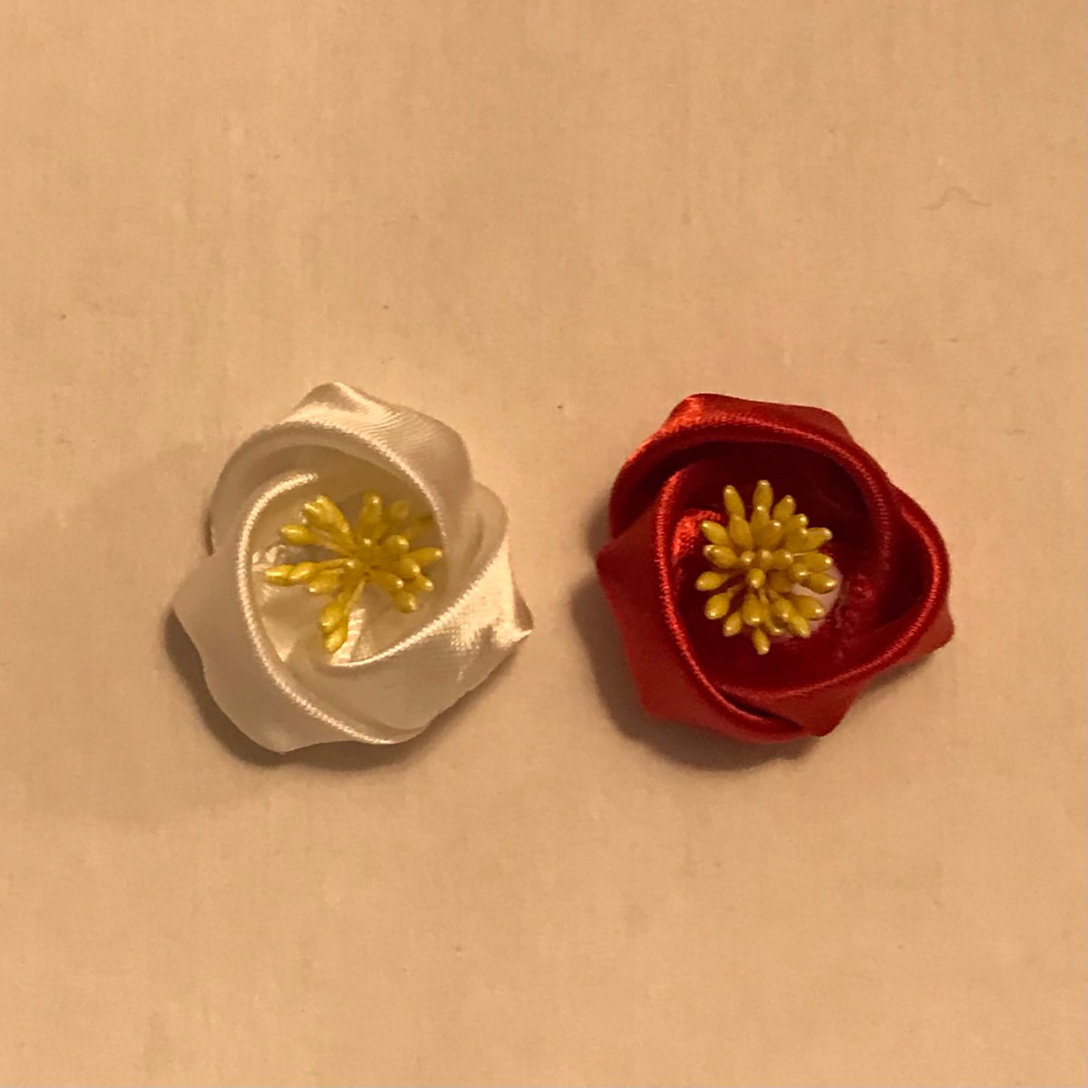 Tsubaki – Japanese&nbsp;Camellia-